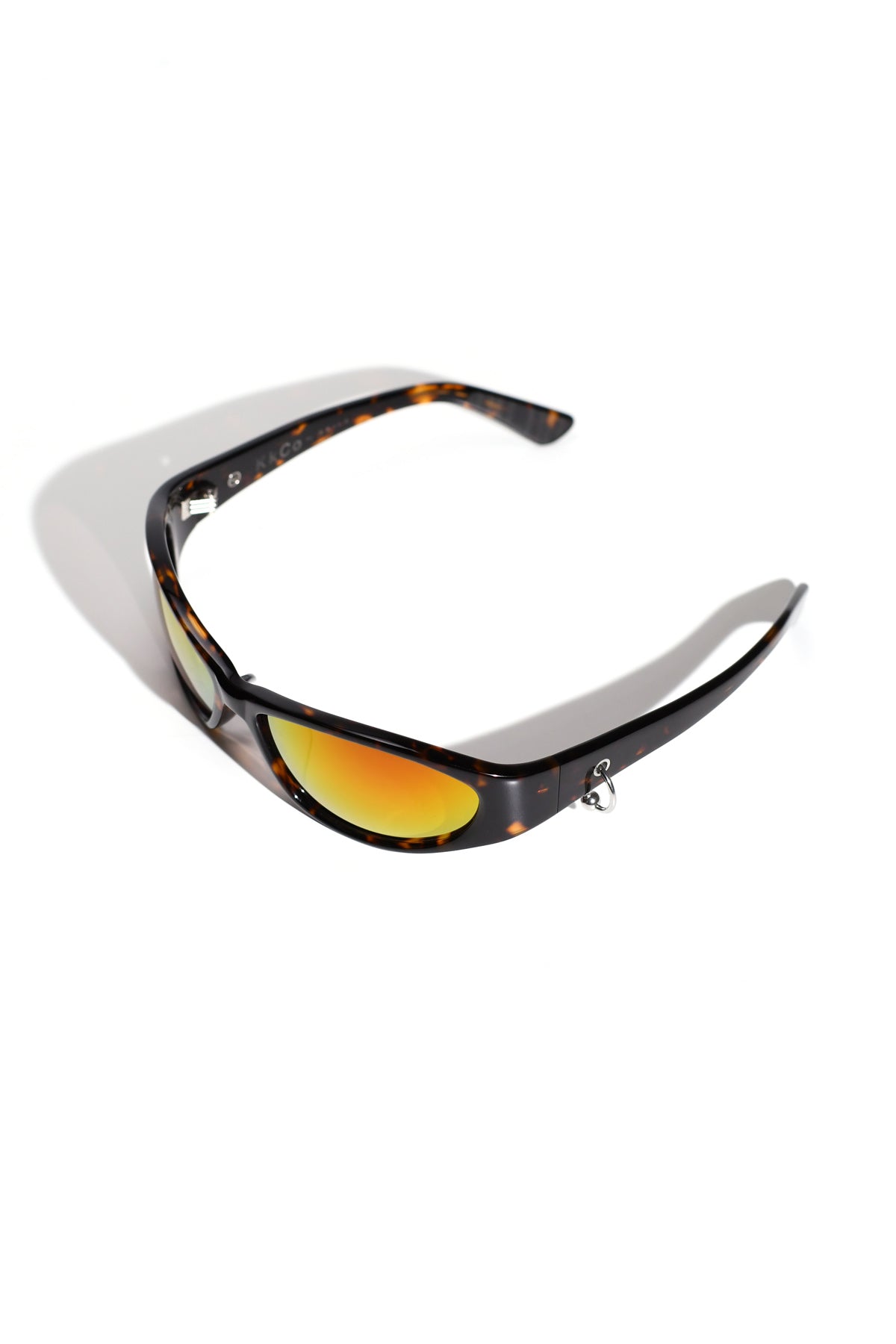 The Lizard in Tortoise