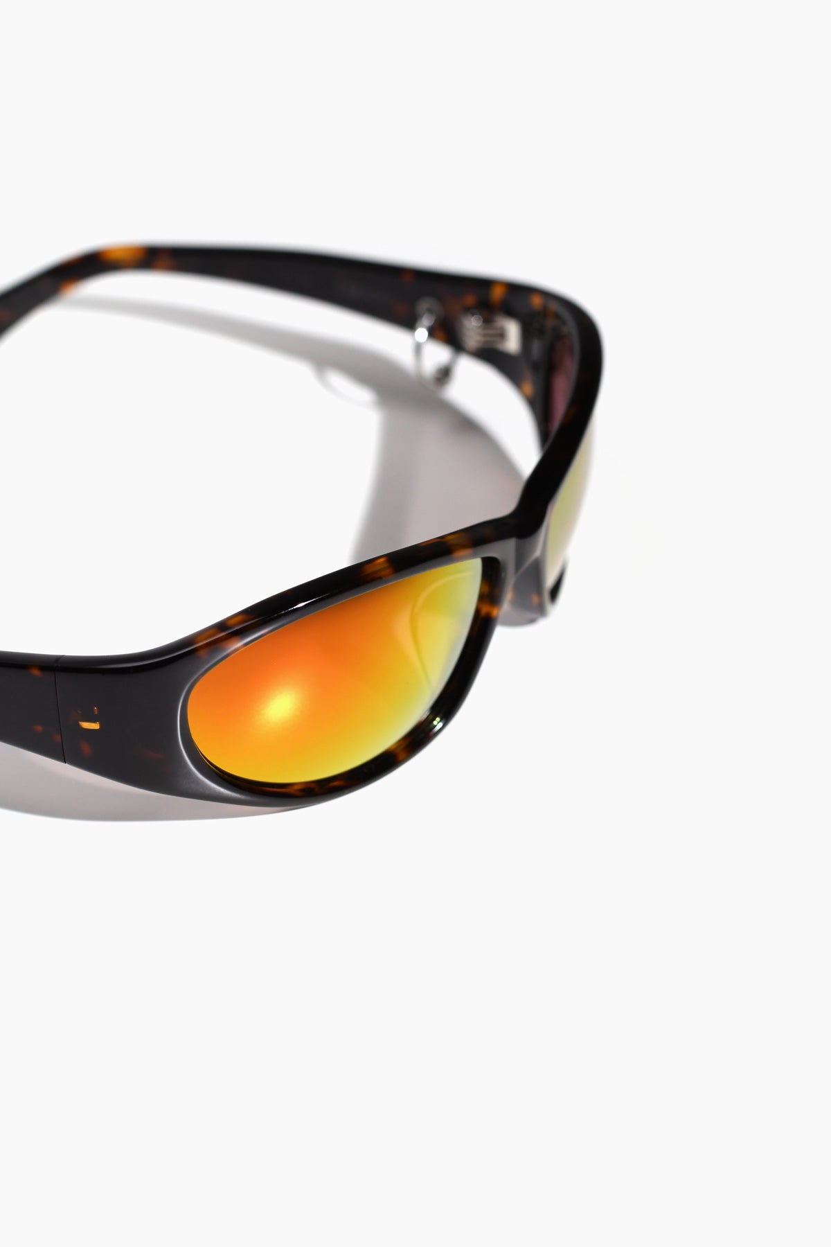 The Lizard in Tortoise