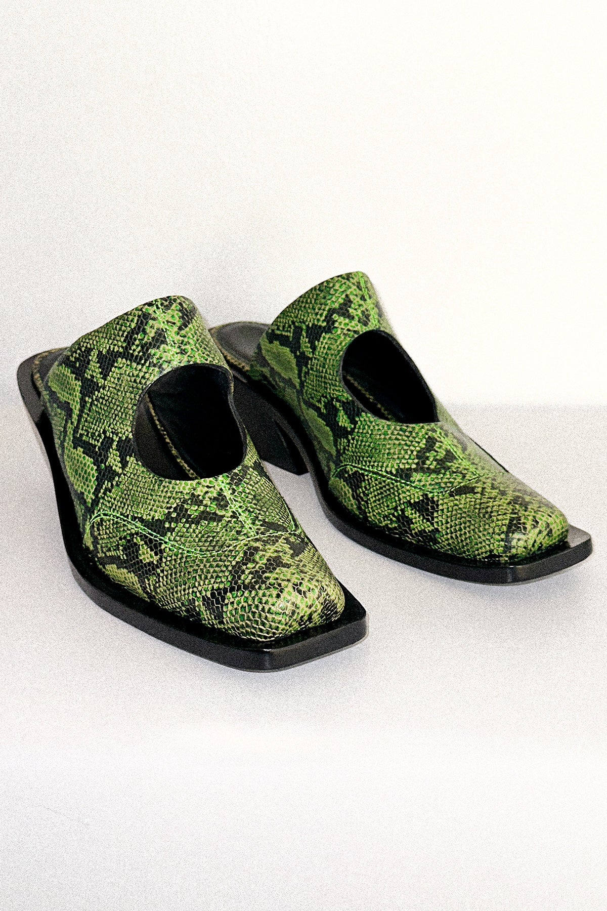 Circle Mule in Green Snake