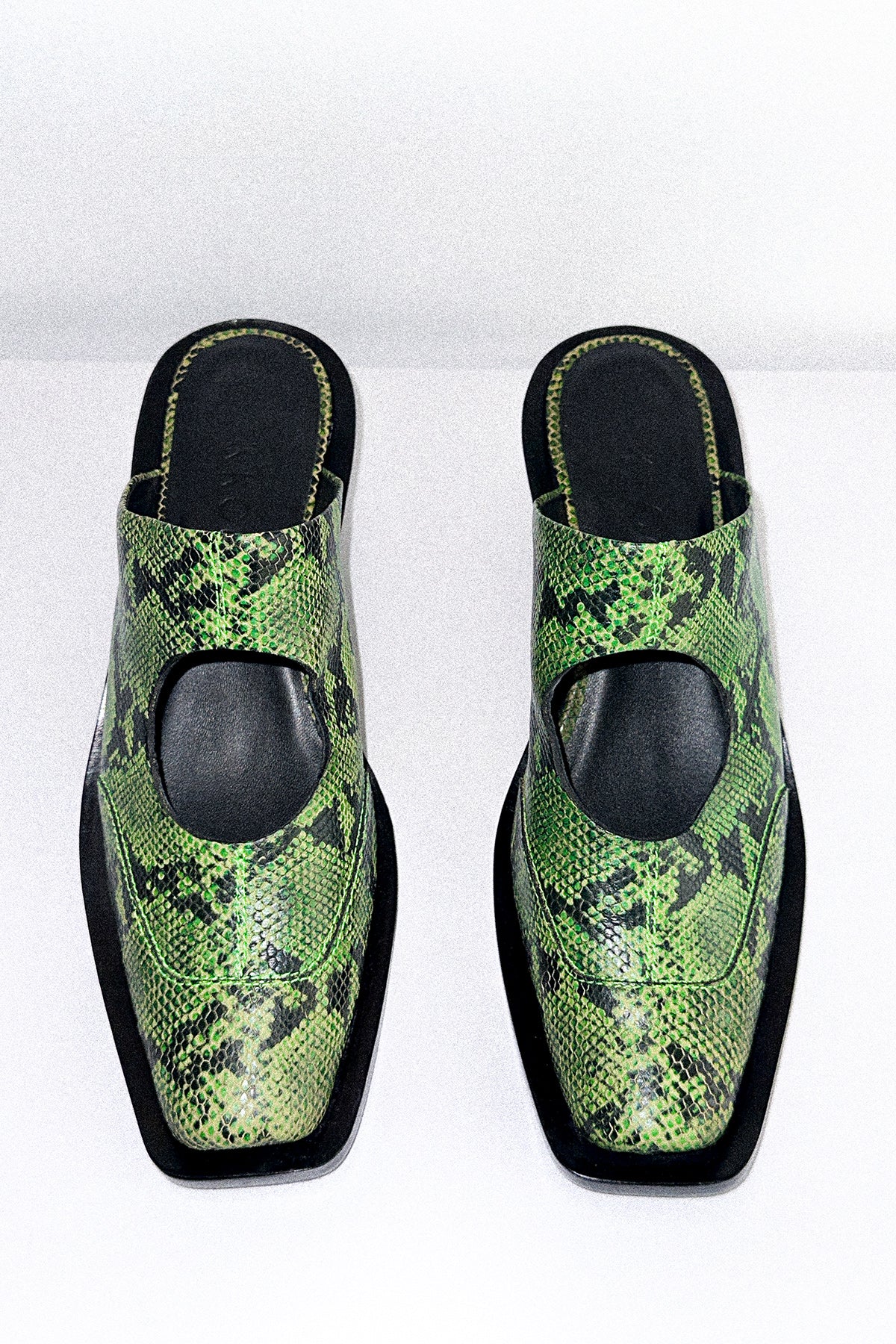 Circle Mule in Green Snake