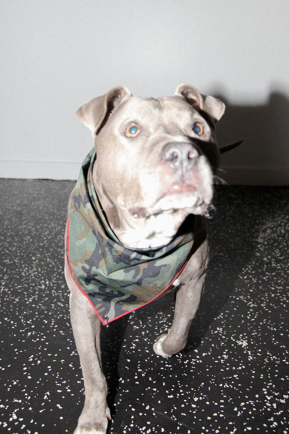 Pierced Bandana in Camo Nylon