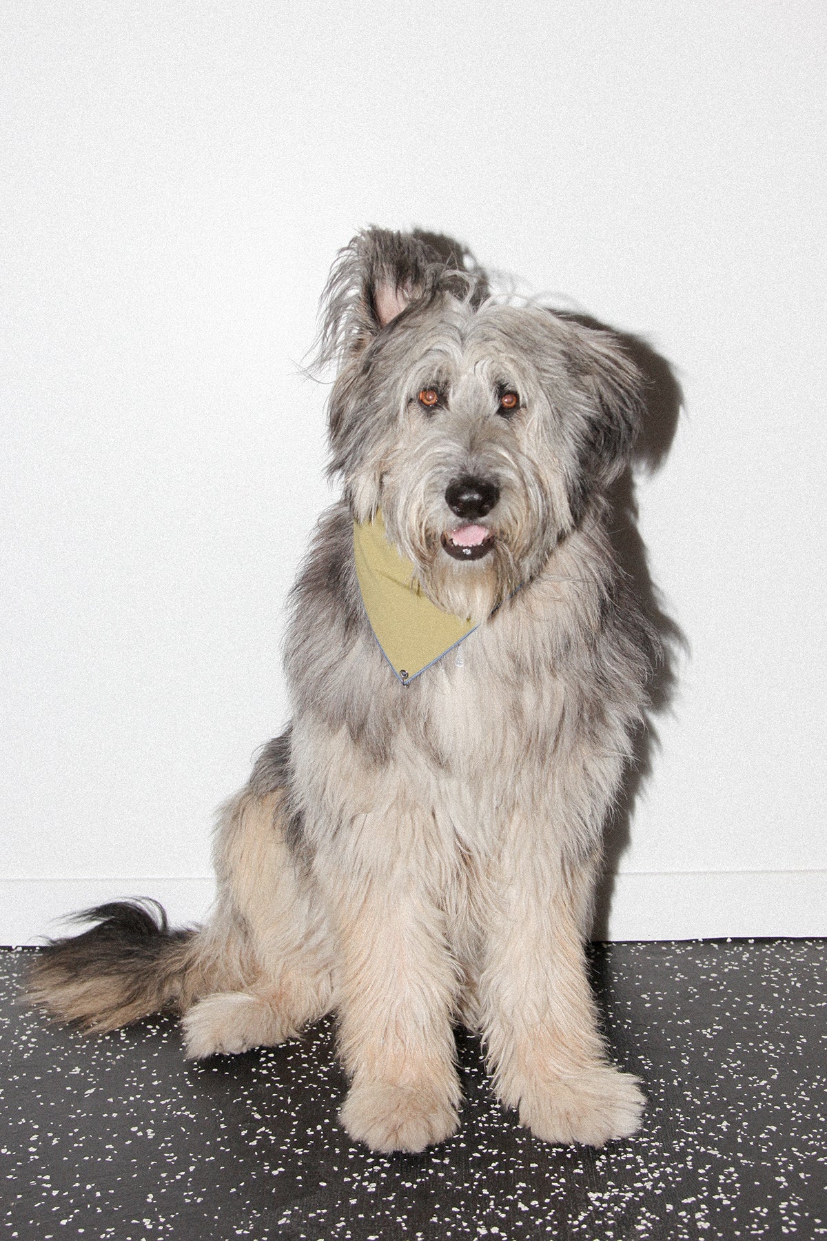 Pierced Bandana in Olive Dyed Nylon