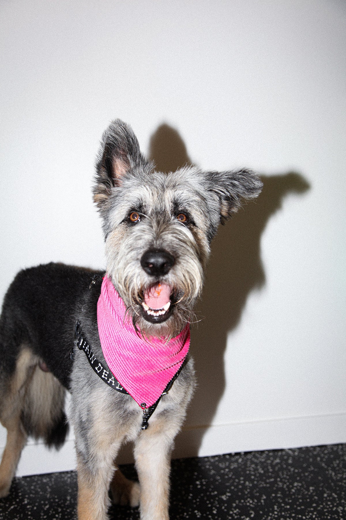 Pierced Bandana in Bubblegum Corduroy