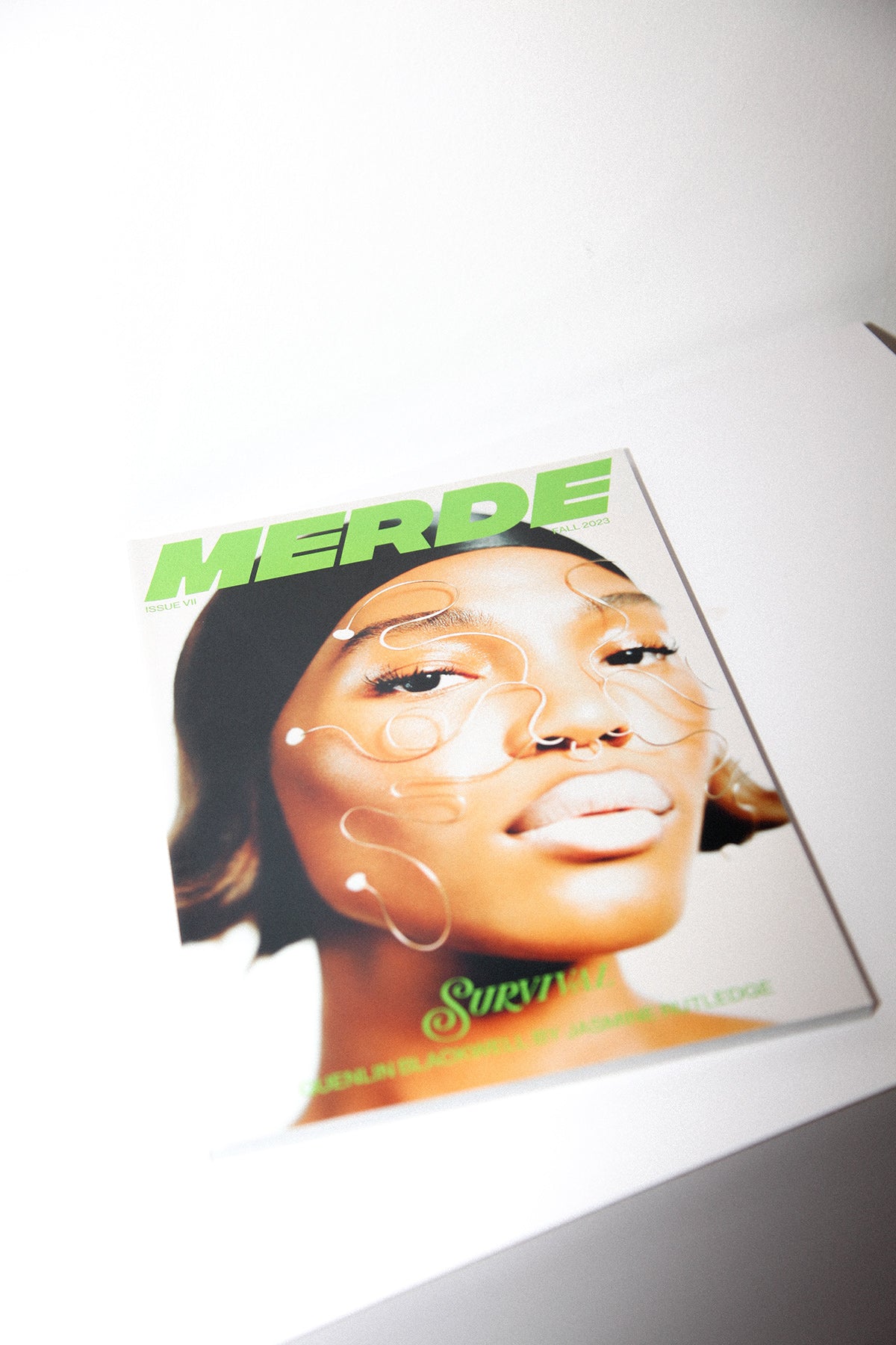 Merde Magazine Issue VII