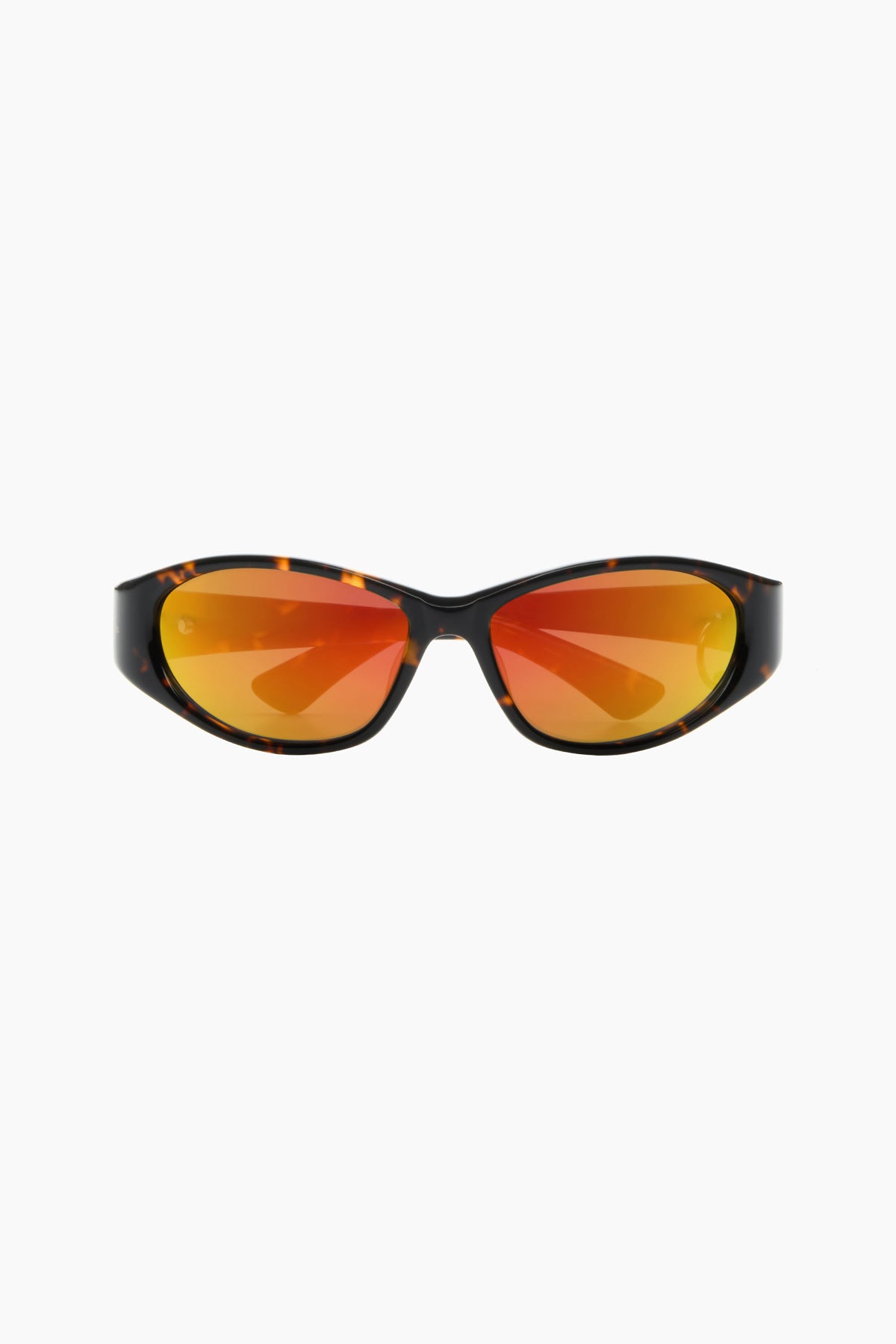The Lizard in Tortoise