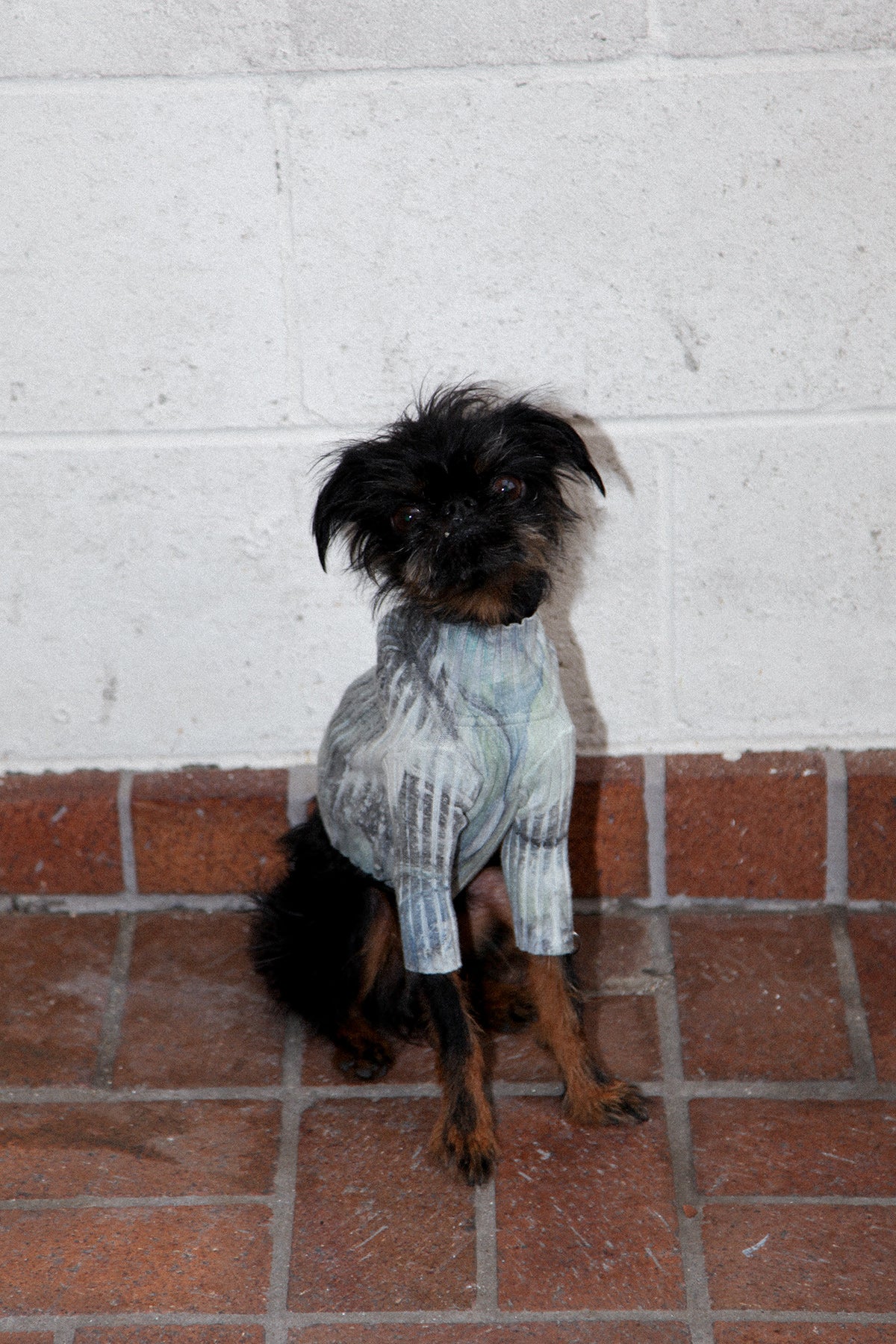 Giu Giu x KkCo Nonna Pet Turtleneck in Earth Marble Dye