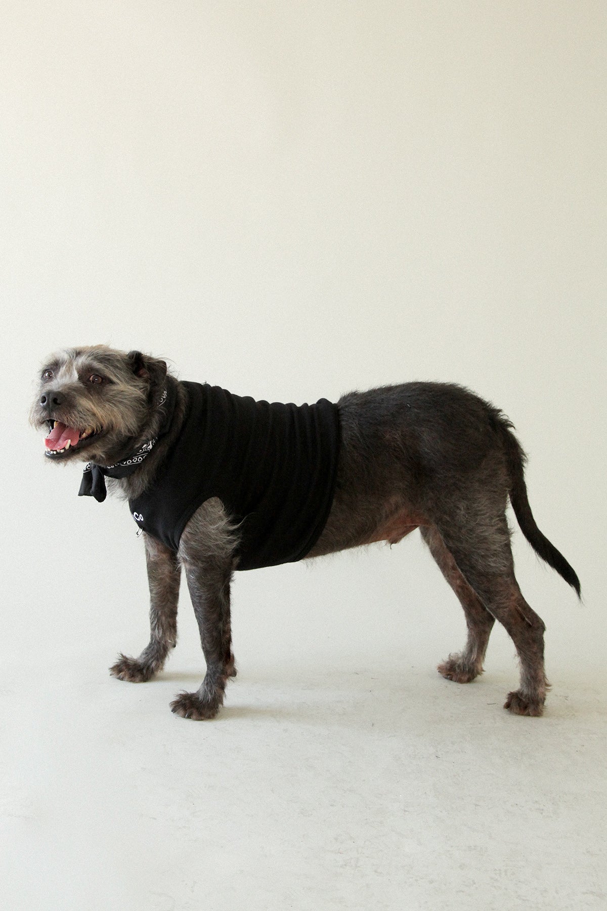 Pierced Pet Tank in Black