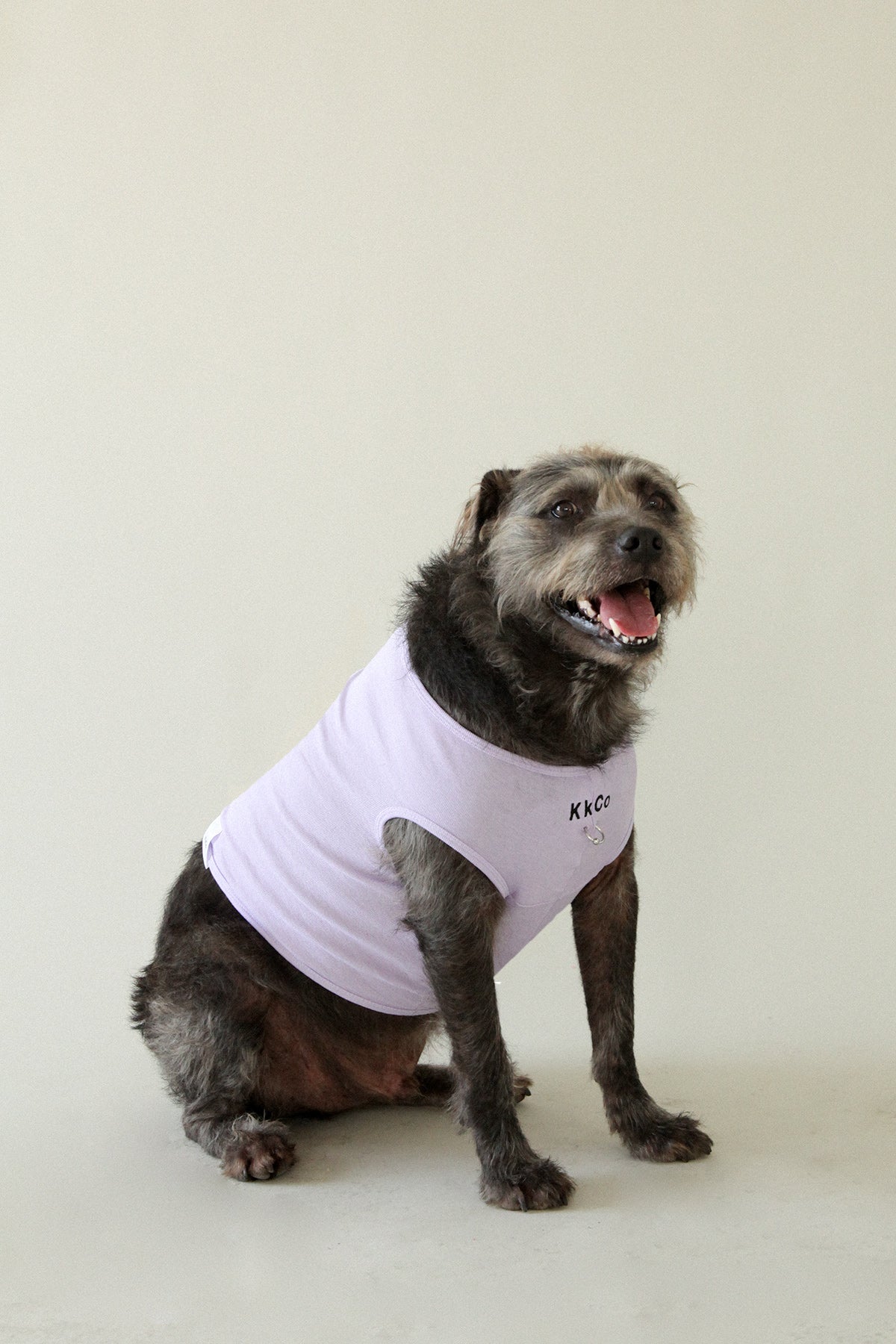 Pierced Pet Tank in Lavender