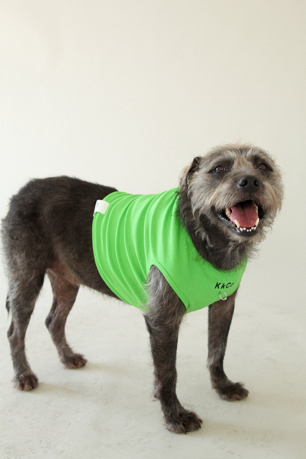 Pierced Pet Tank in Lime