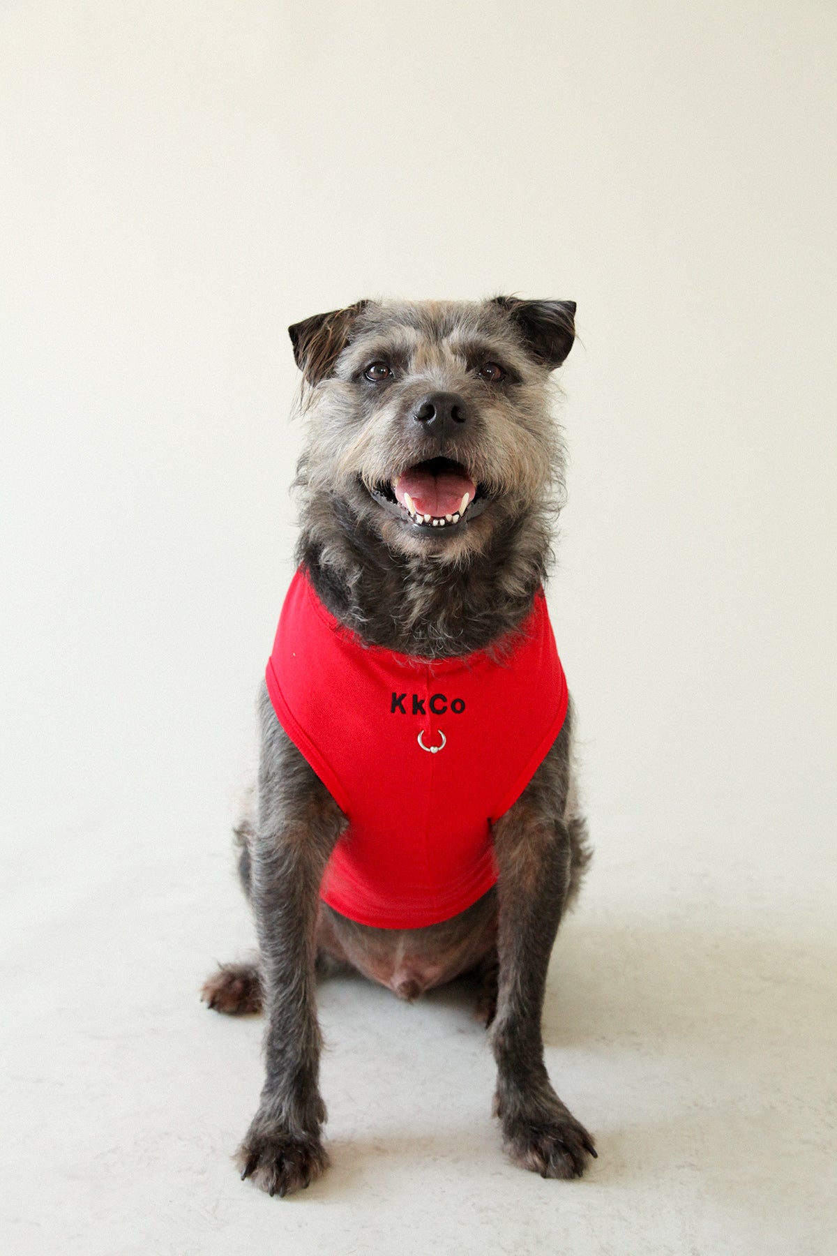 Pierced Pet Tank in Red