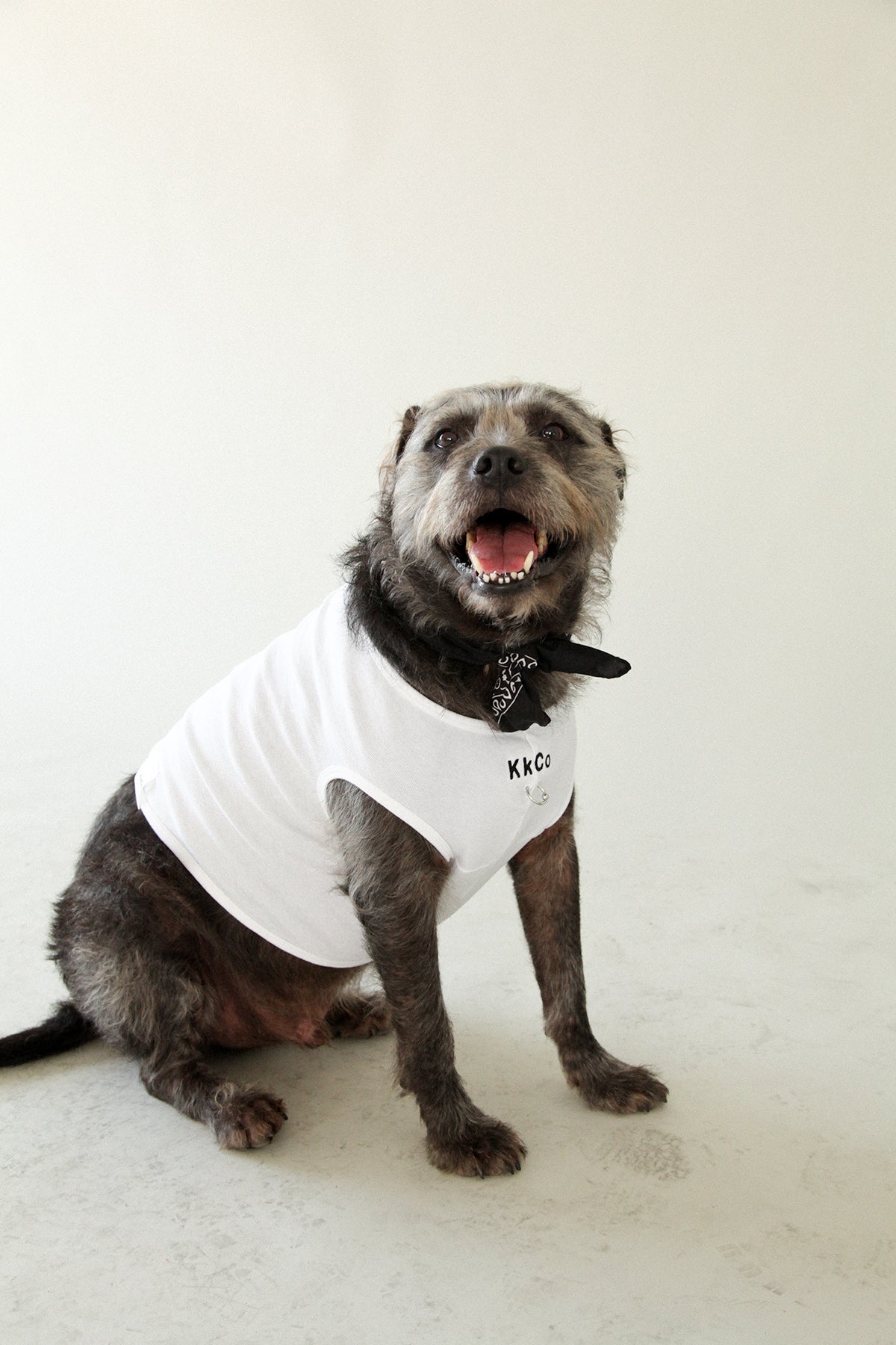 Pierced Pet Tank in White