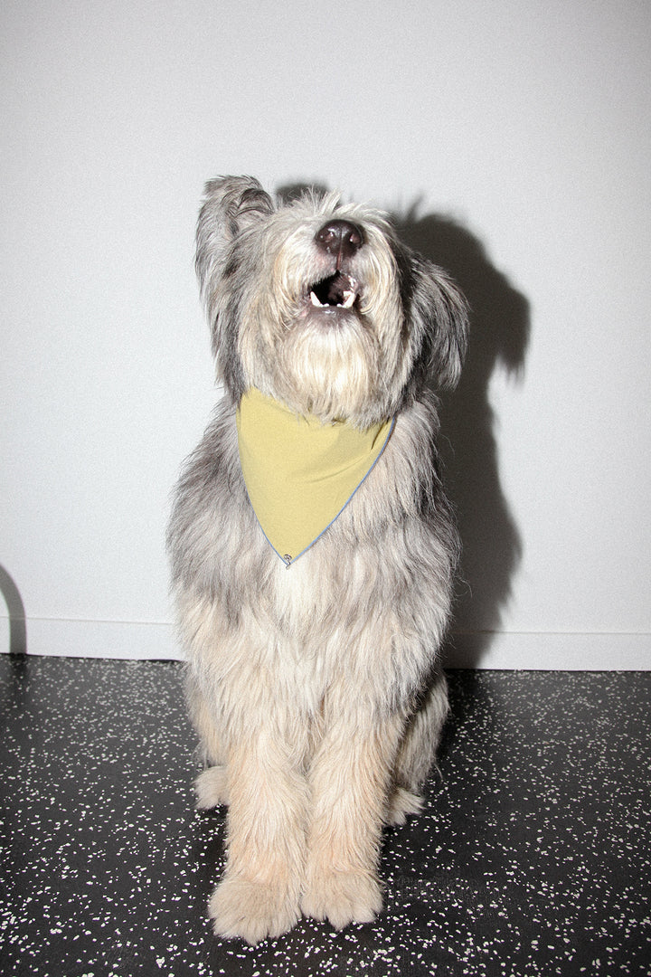 Pierced Bandana in Olive Dyed Nylon