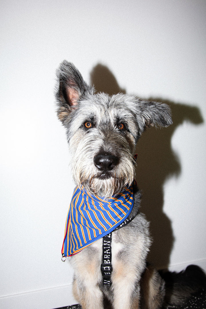 Pierced Bandana in Striped Cobalt Jersey