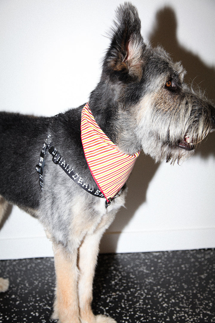 Pierced Bandana in Striped Tomato