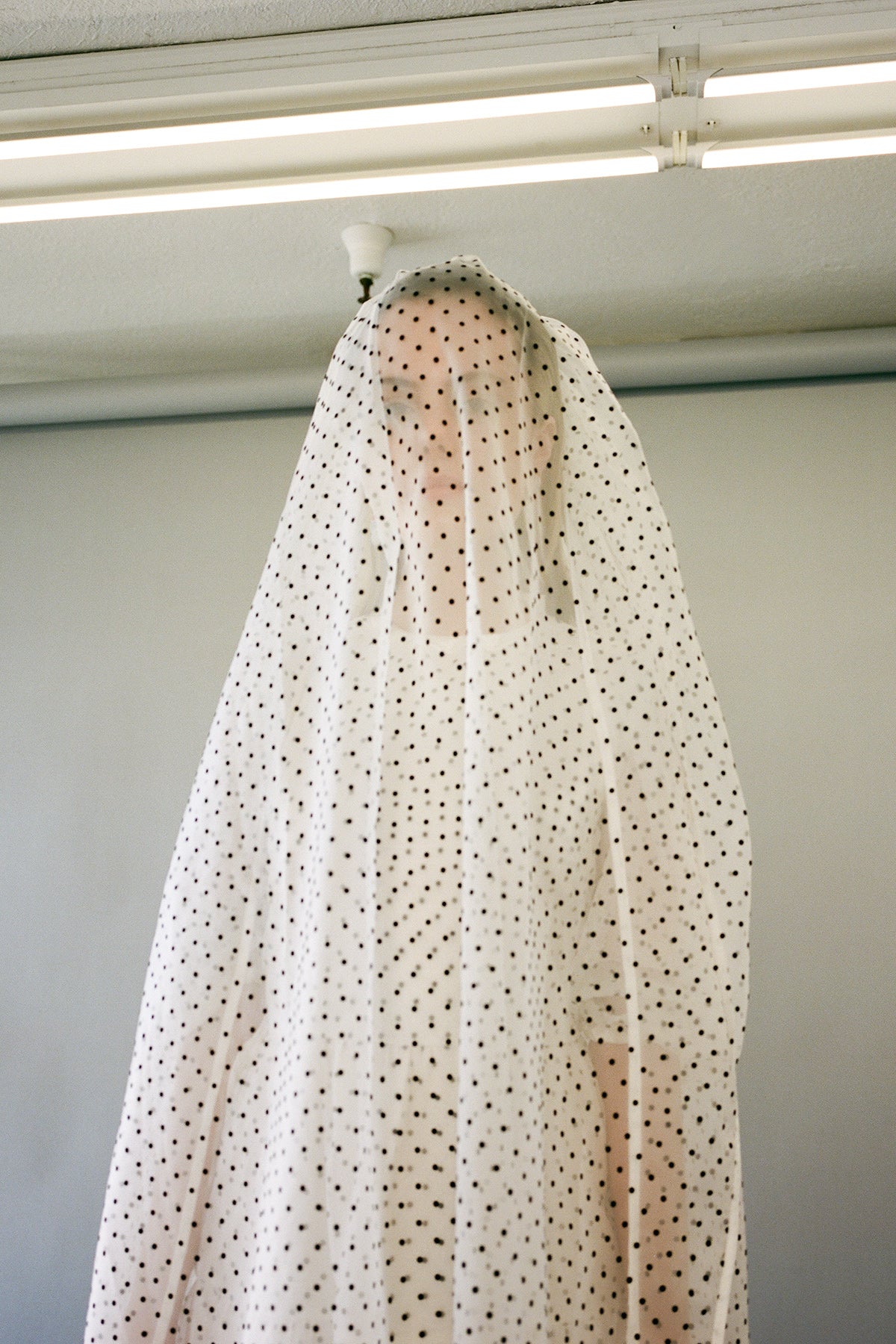 Veil in Black & White Dot Organza