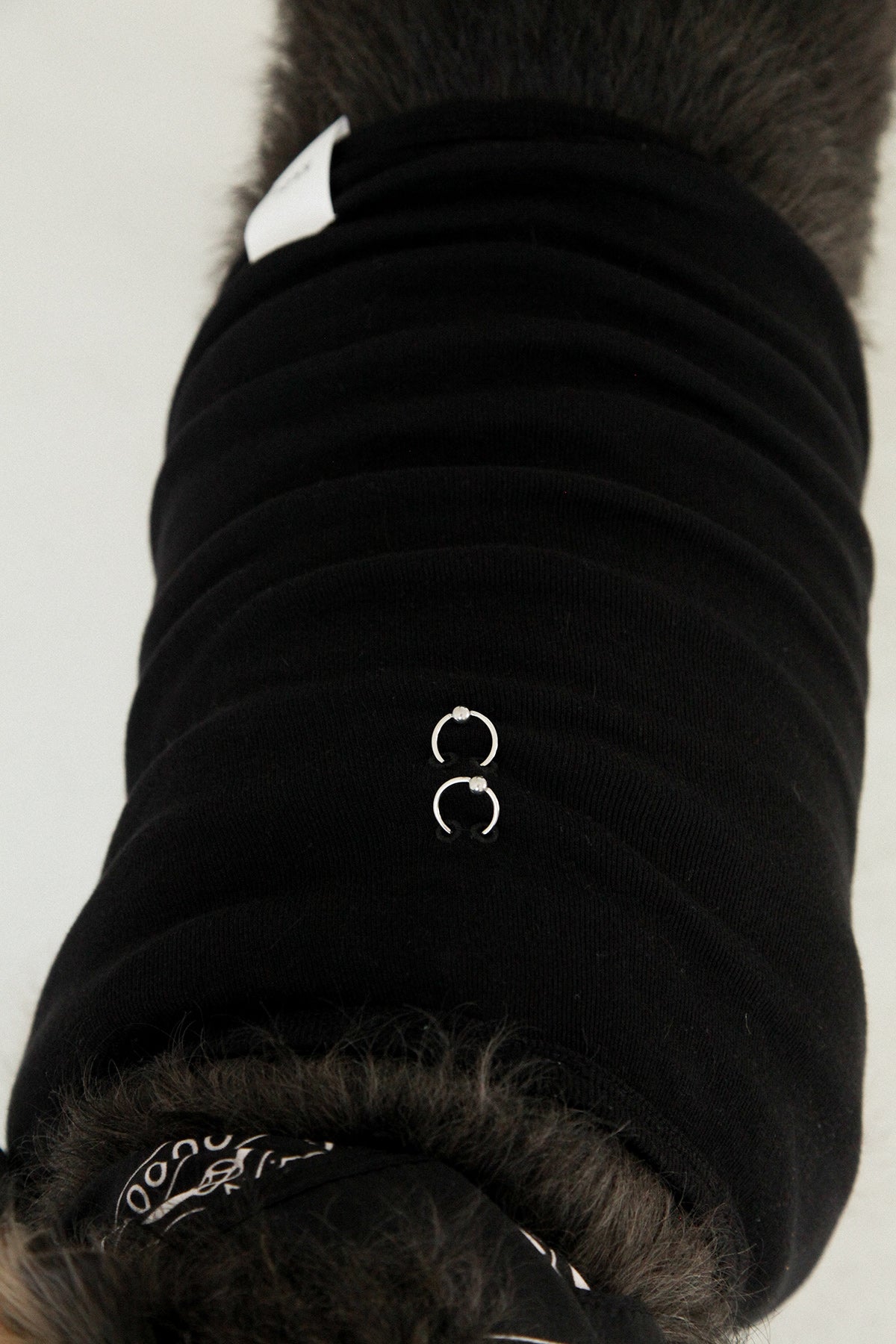 Pierced Pet Tank in Black