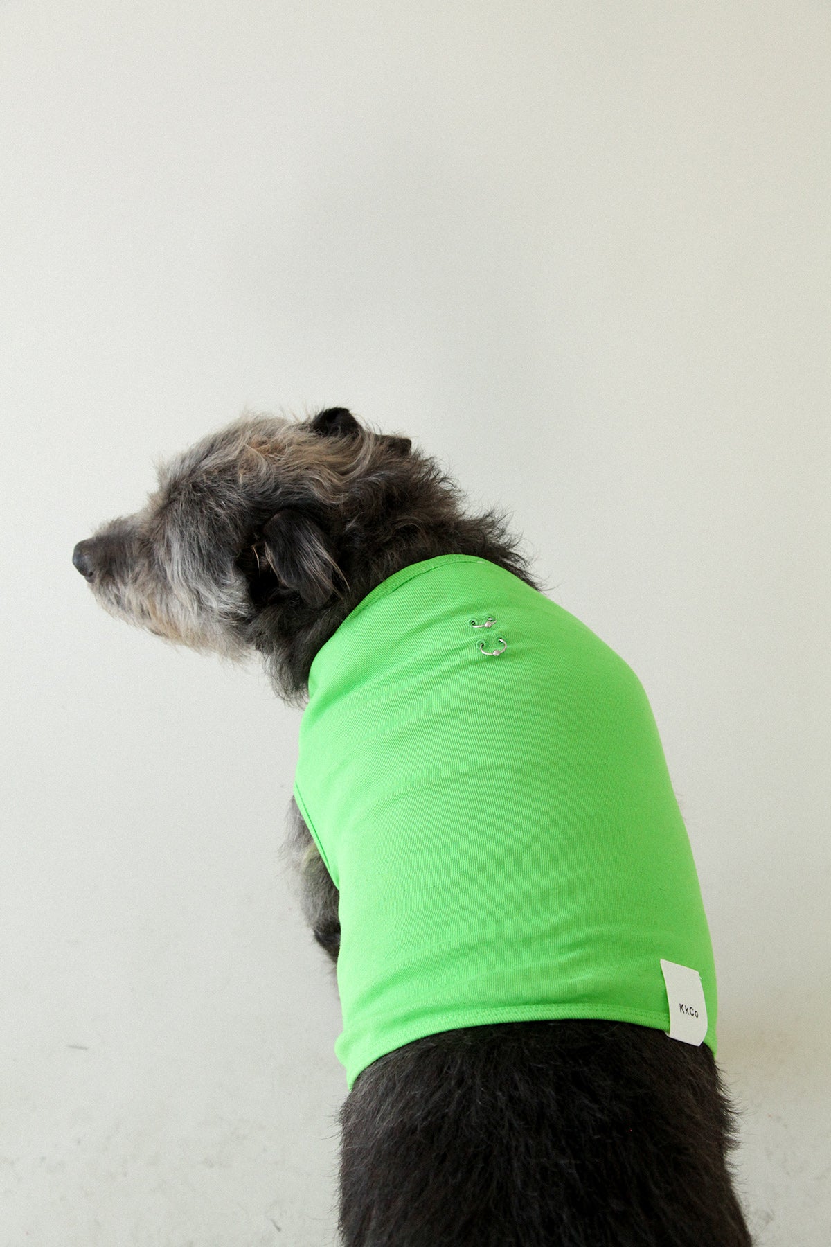 Pierced Pet Tank in Lime