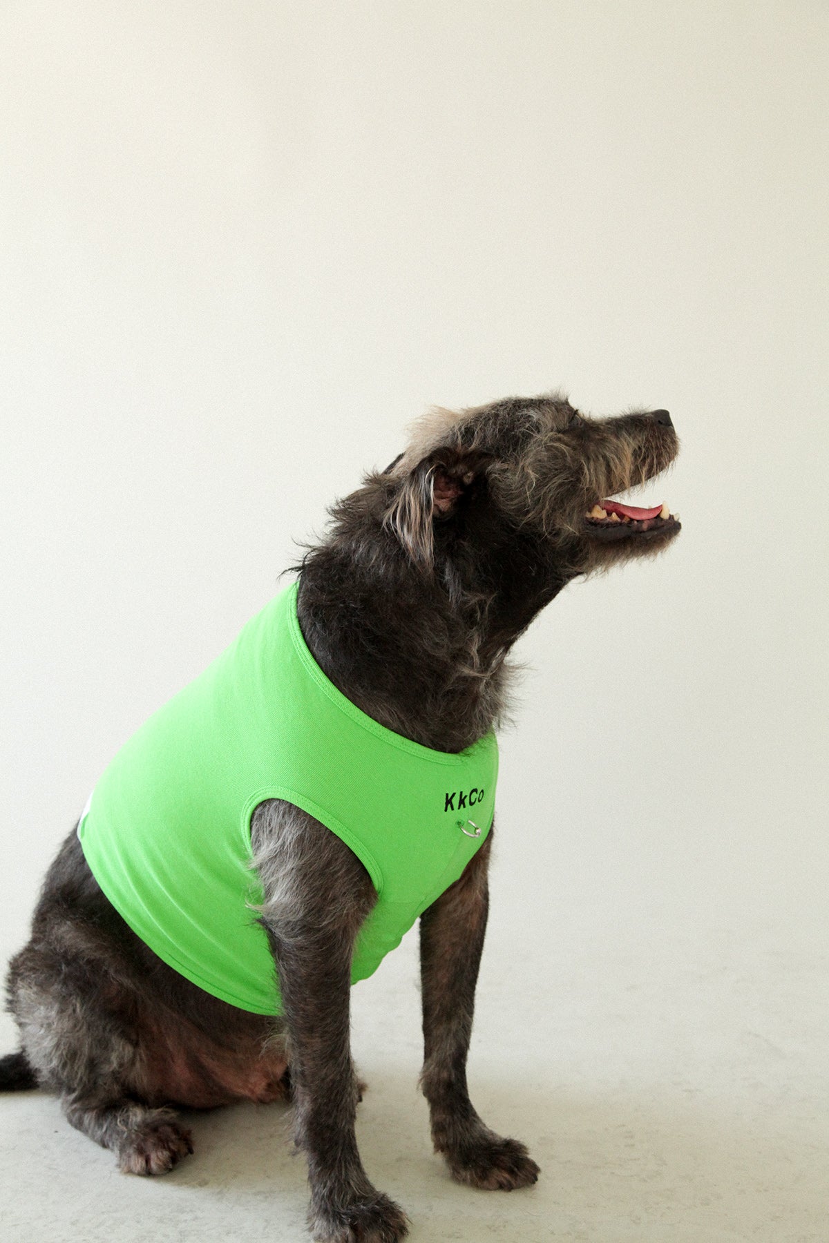 Pierced Pet Tank in Lime