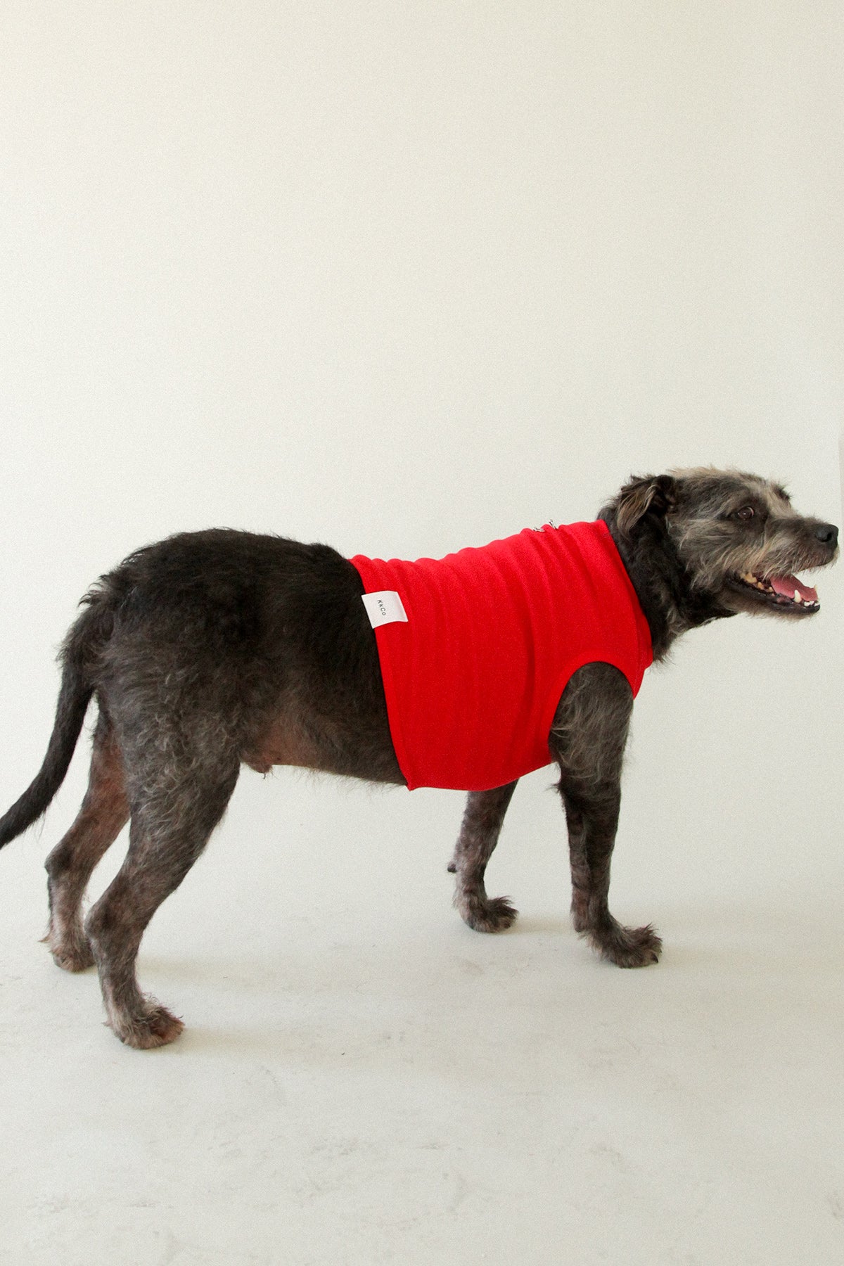 Pierced Pet Tank in Red