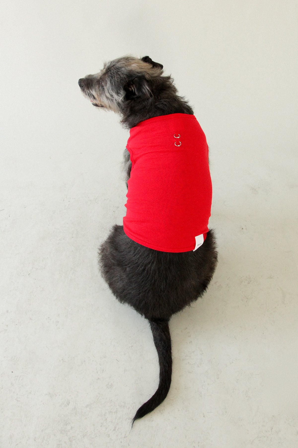 Pierced Pet Tank in Red