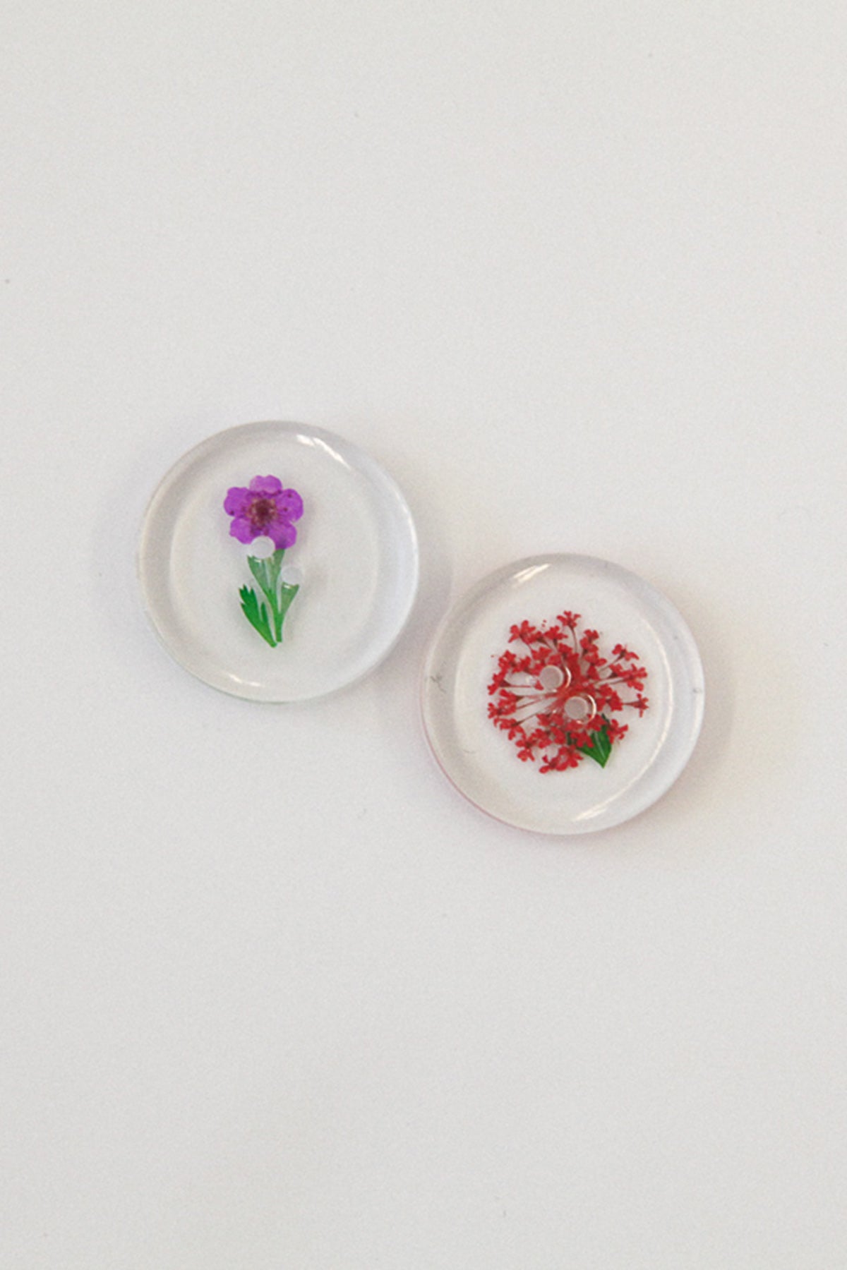 Flower Pressed Lucite Buttons - Round