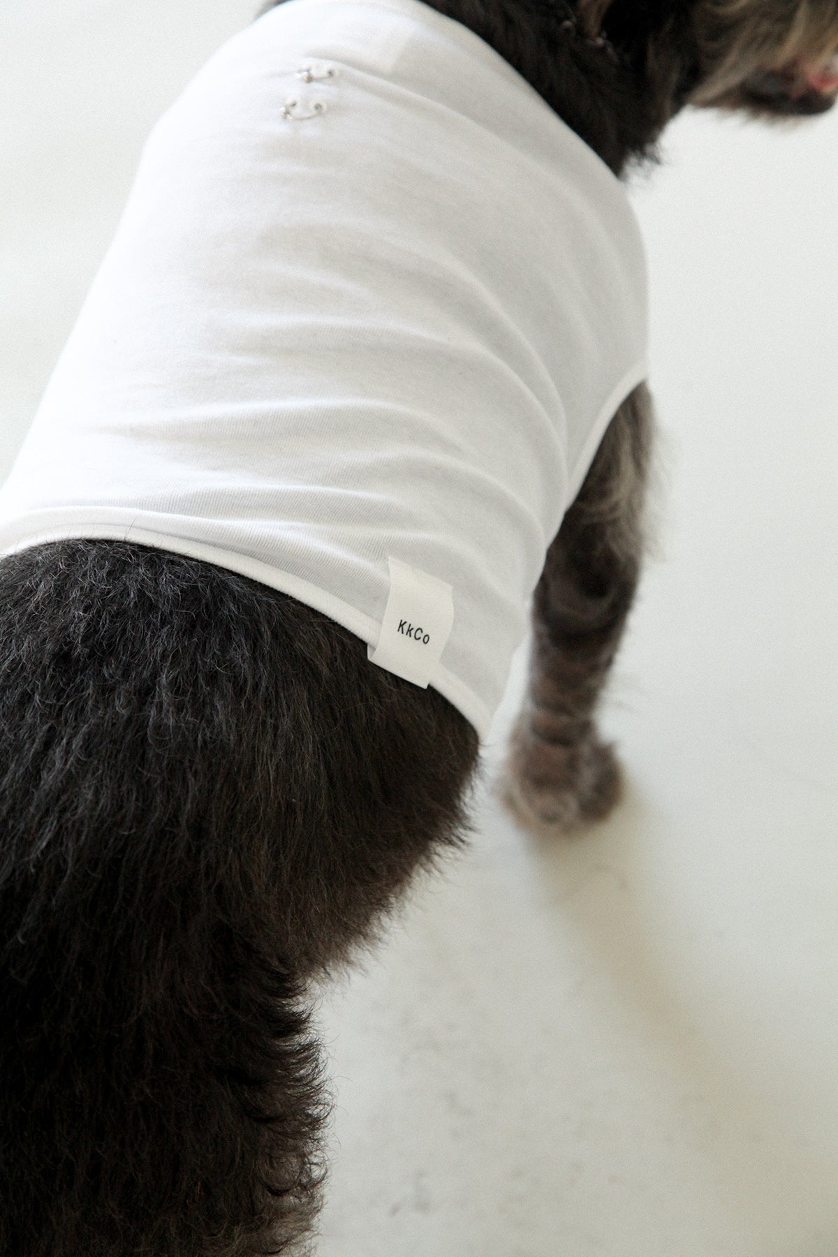 Pierced Pet Tank in White