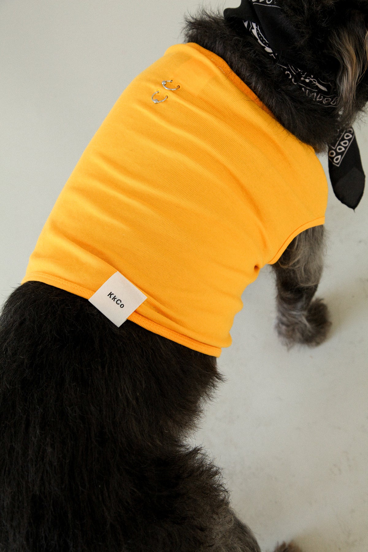 Pierced Pet Tank in Marigold